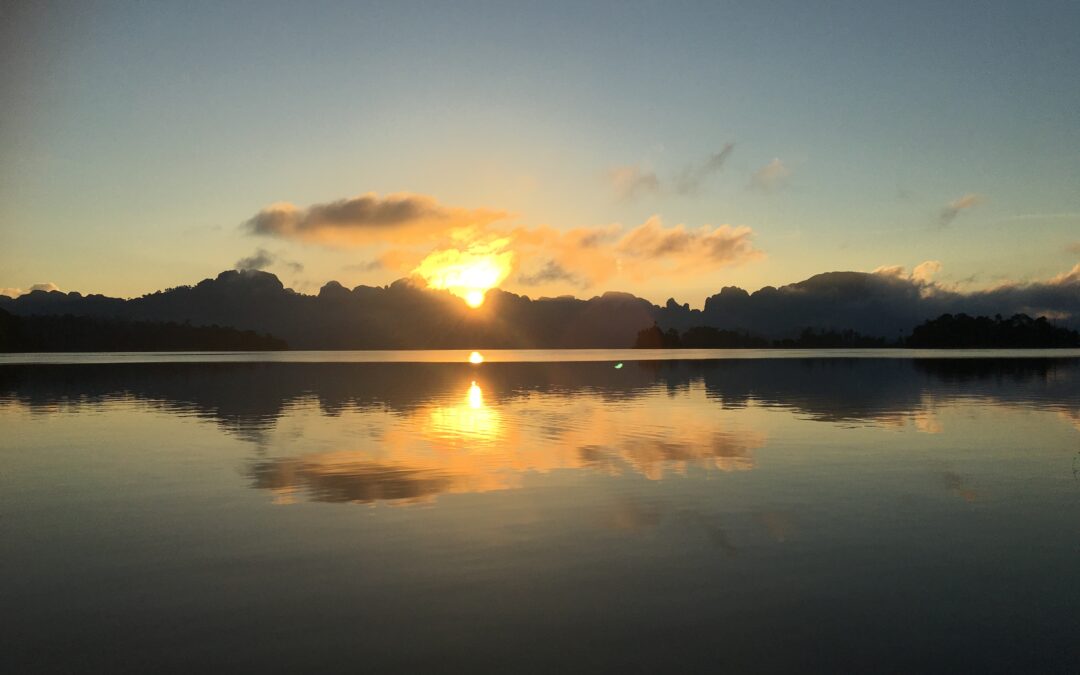 UGE 1  ☀️ dag 6 ☀️