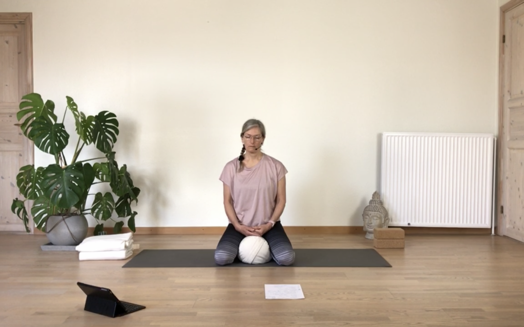 BOOST TIL HORMONERNE