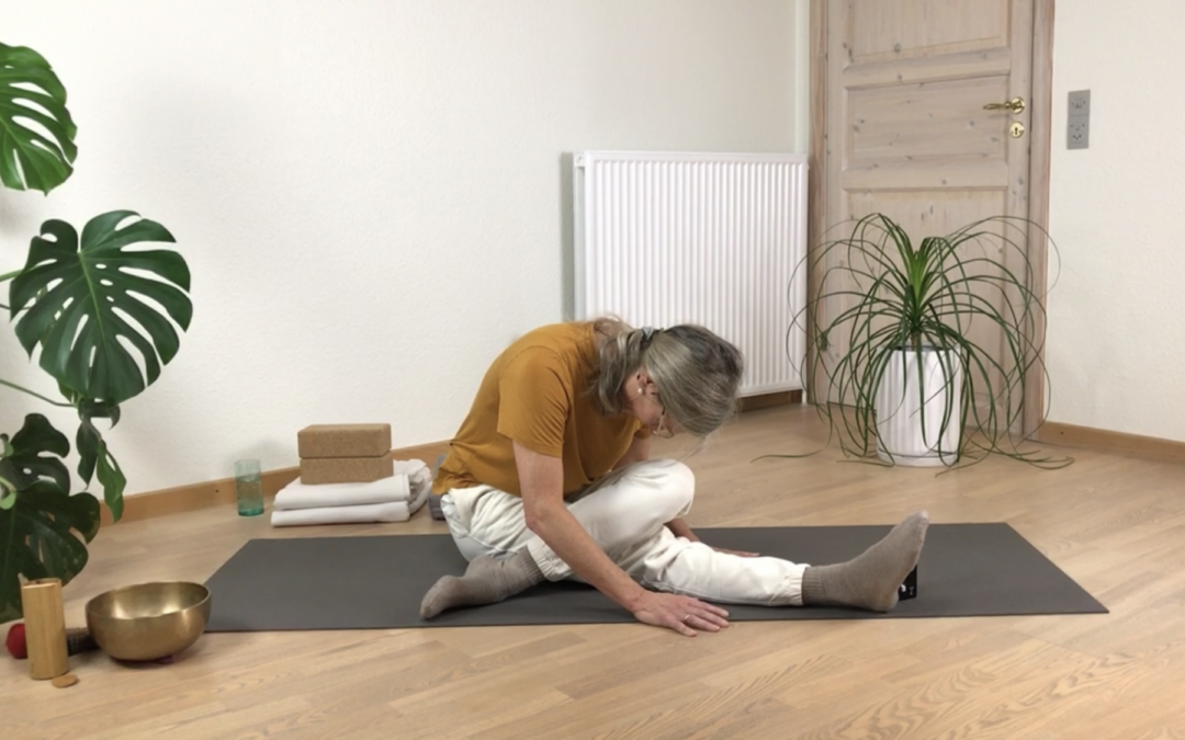 MERE LEVER-/GALDEBLÆRE